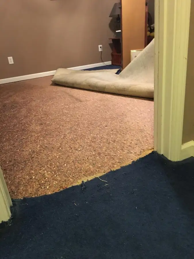 Carpet pad removal revealing water damage during Drying & Dehumidification in Findlay