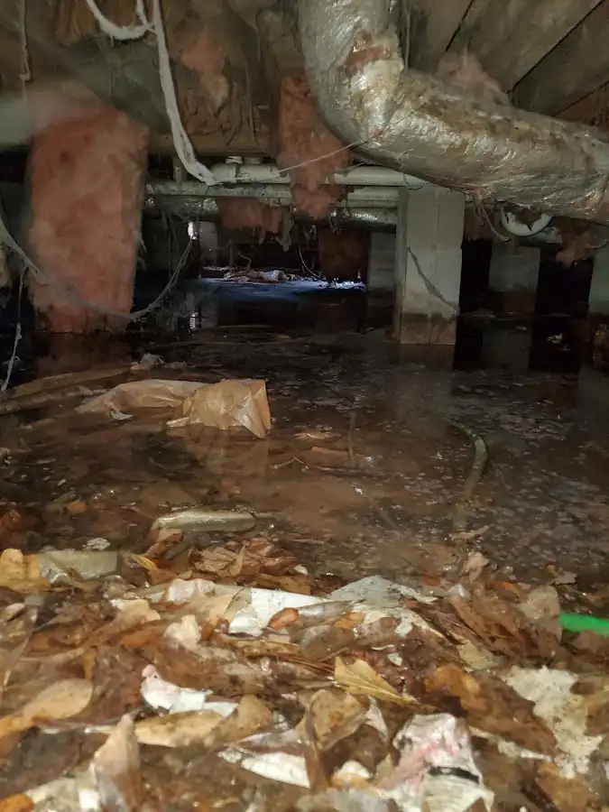 Crawl space flood assessment for Leak Detection & Repair in Findlay