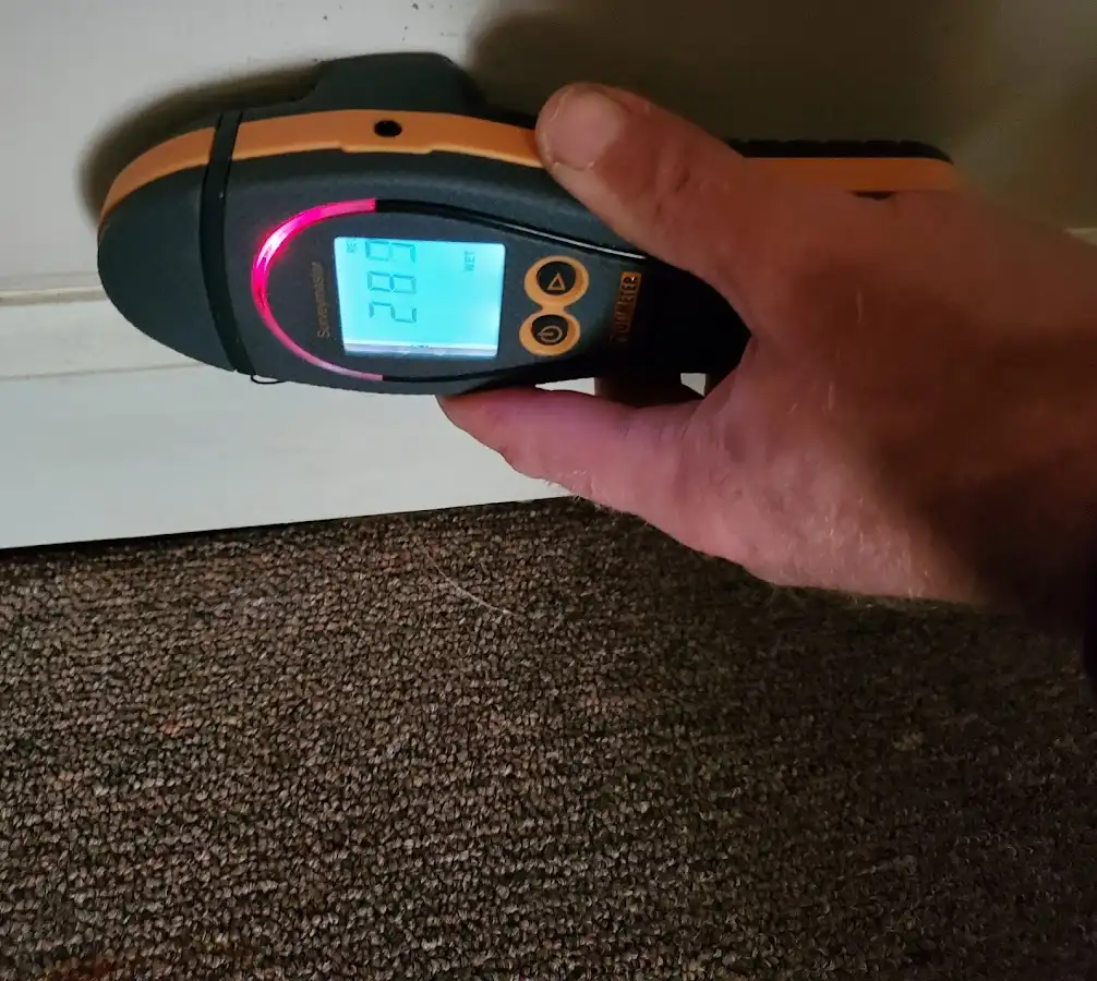 Moisture detection at baseboard during Sewage Cleanup & Sanitation in Findlay